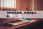 开云网页版-刘翔受伤离场，伤情尚未公布。