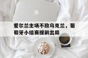 开云网页版-爱尔兰主场不敌乌克兰，葡萄牙小组赛提前出局
